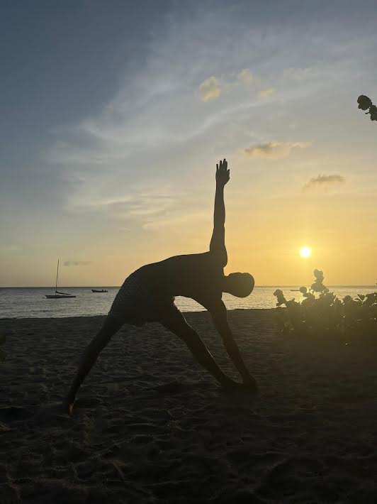 Cours de yoga groupe à domicile 20€/pers